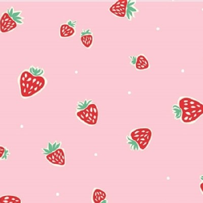 Birch Fabrics - Knits - Everyday Party - Strawberry in Pink