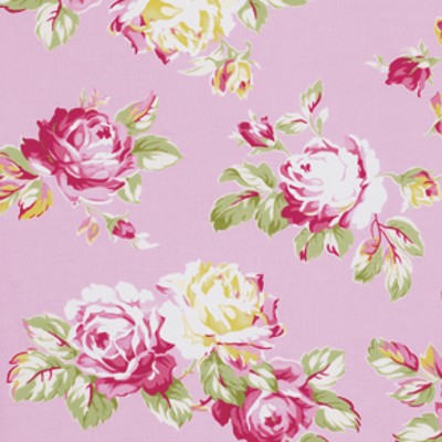Free Spirit - Sunshine Rose - Sunshine Roses in Pink