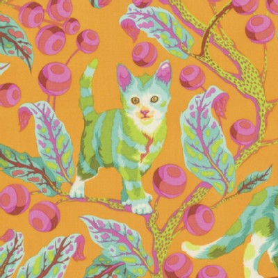 Free Spirit - Tabby Road - Disco Kitty in Marmalade Skies