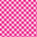 Lakehouse Drygoods - Pam Kitty Picnic - Gingham in Red
