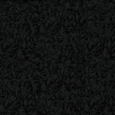 Michael Miller Fabrics - Glitter and Sparkles - Fairy Frost - Black in Onyx