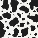 Michael Miller Fabrics - Kids - Pony Skin in White Black
