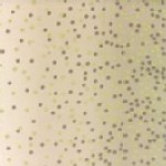 Moda Fabrics - Basics - Ombre Confetti Metallic in Sand