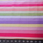 Quilting Treasures - Basics - Rainbow Stripes in Girl Light Pastel