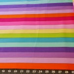 Quilting Treasures - Basics - Rainbow Stripes in Girl